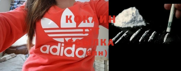 гидра Верея