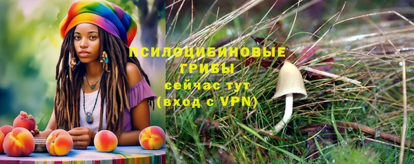 сатива Верхний Тагил