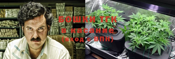 сатива Верхний Тагил