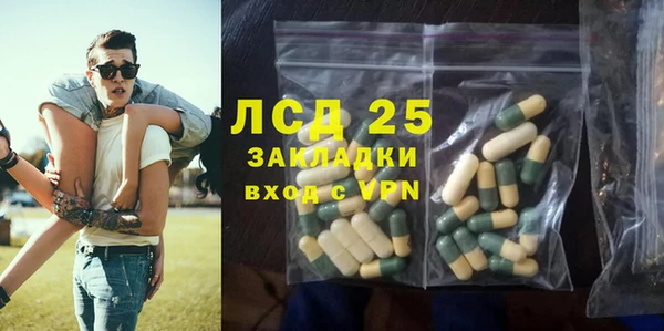гидра Верея